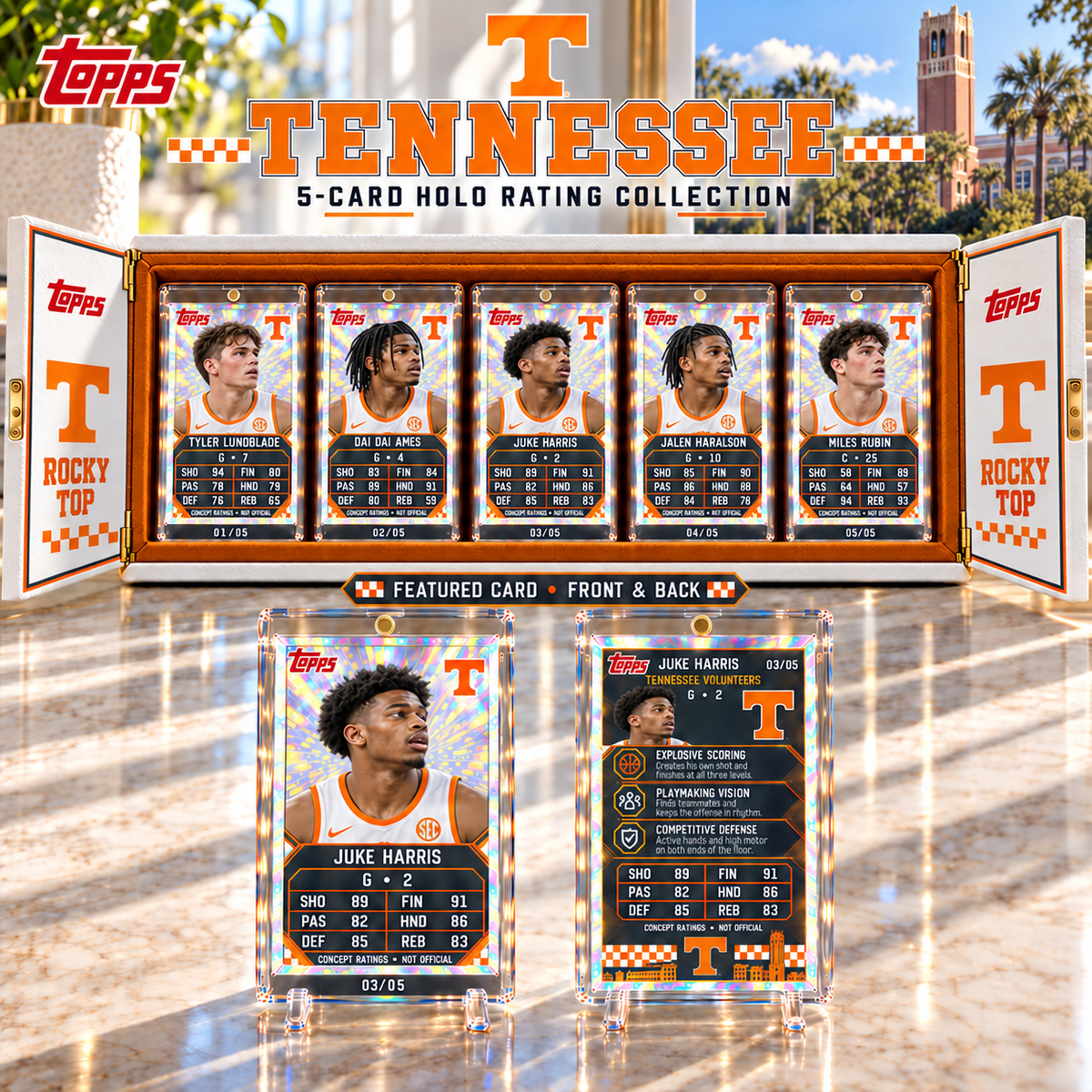 TVF Premium Card Collector’s Box Set NHVH